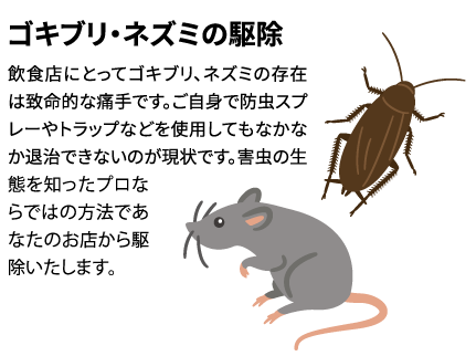 飲食店にとってゴキブリ、ネズミの存在は致命的な痛手です。ご自身で防虫スプレーやトラップなどを使用してもなかなか退治できないのが現状です。害虫の生態を知ったプロならではの方法であなたのお店から駆除いたします。