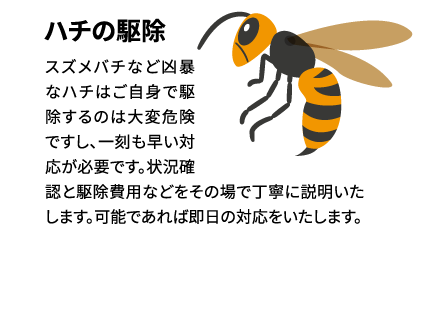 スズメバチなど凶暴なハチはご自身で駆除するのは大変危険ですし、一刻も早い対応が必要です。状況確認と駆除費用などをその場で丁寧に説明いたします。可能であれば即日の対応をいたします。