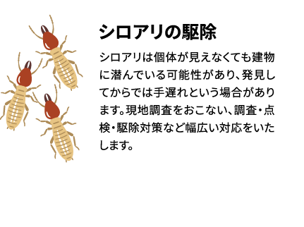 シロアリは個体が見えなくても建物に潜んでいる可能性があり、発見してからでは手遅れという場合があります。現地調査をおこない、調査・点検・駆除対策など幅広い対応をいたします。