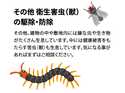 その他、建物の中や敷地内には嫌な虫や生き物がたくさん生息しています。中には健康被害をもたらす害虫（獣）も生息しています。気になる事があればまずはご相談ください。